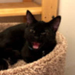 Meet your Posher, Tracy